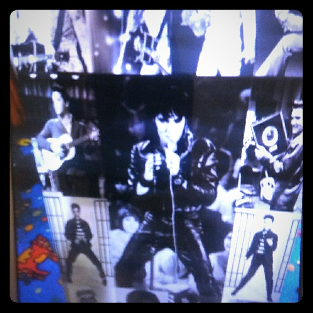 Elvis Presley canvas like new